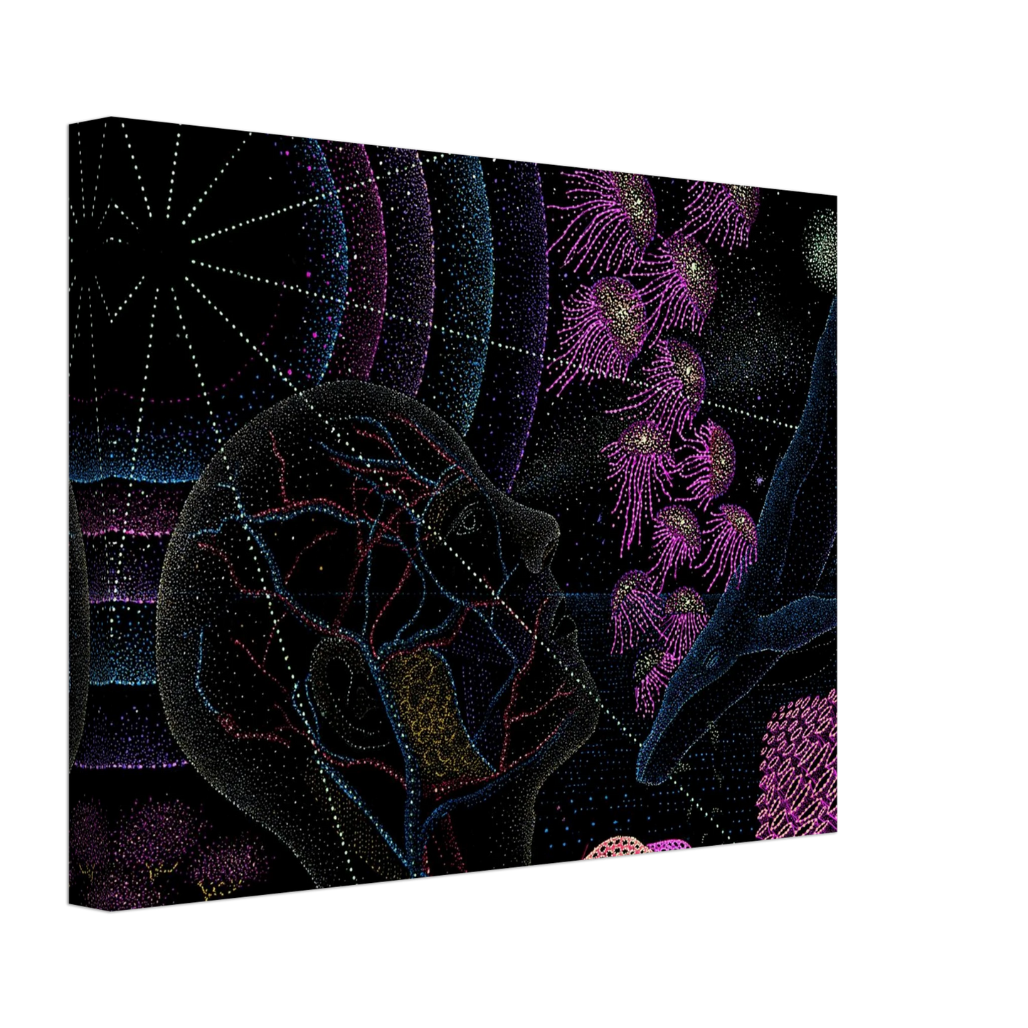 ee9f1aba-cf0b-4ef7-a59d-cf7d80e20e3d