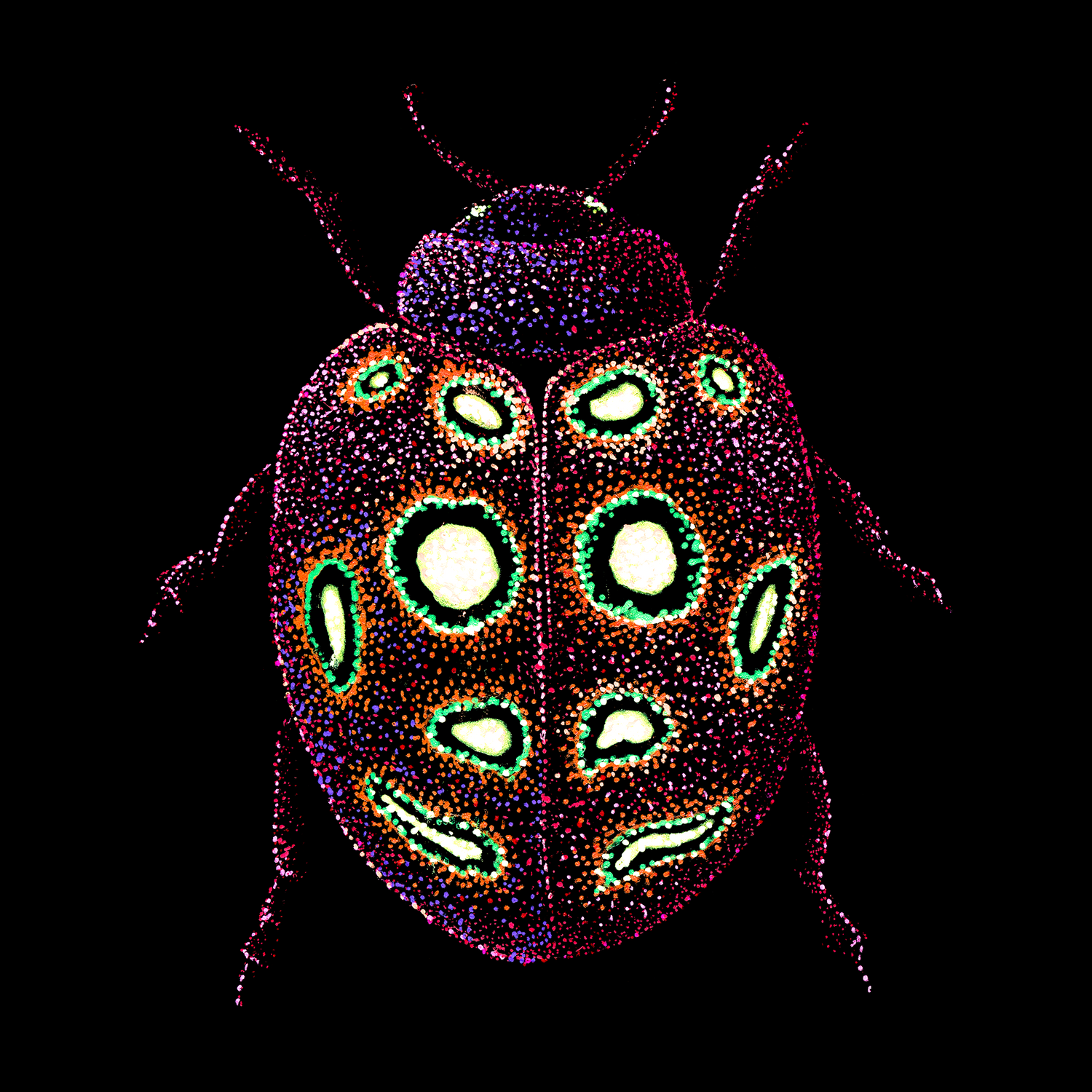 Trippy Insects 🐛🪲