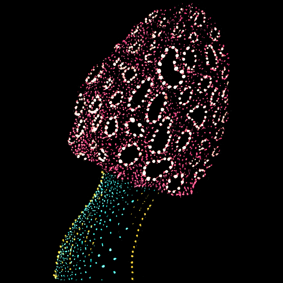 morel-morell-mushroom-psychedelic-tropical-scuba-animal-underwater-art-clothing-tshirt-goft-art-print