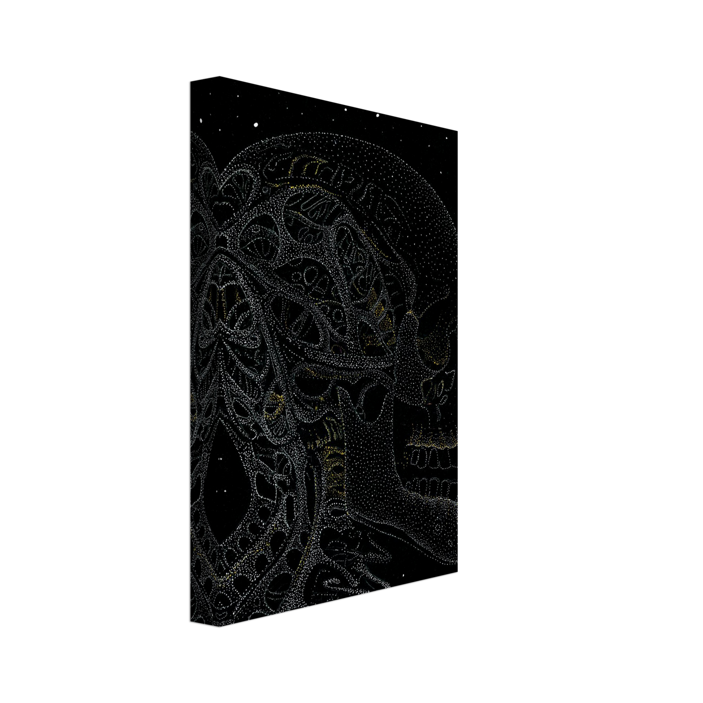 1537b514-ff52-4f69-bbbc-da421a71ceb8