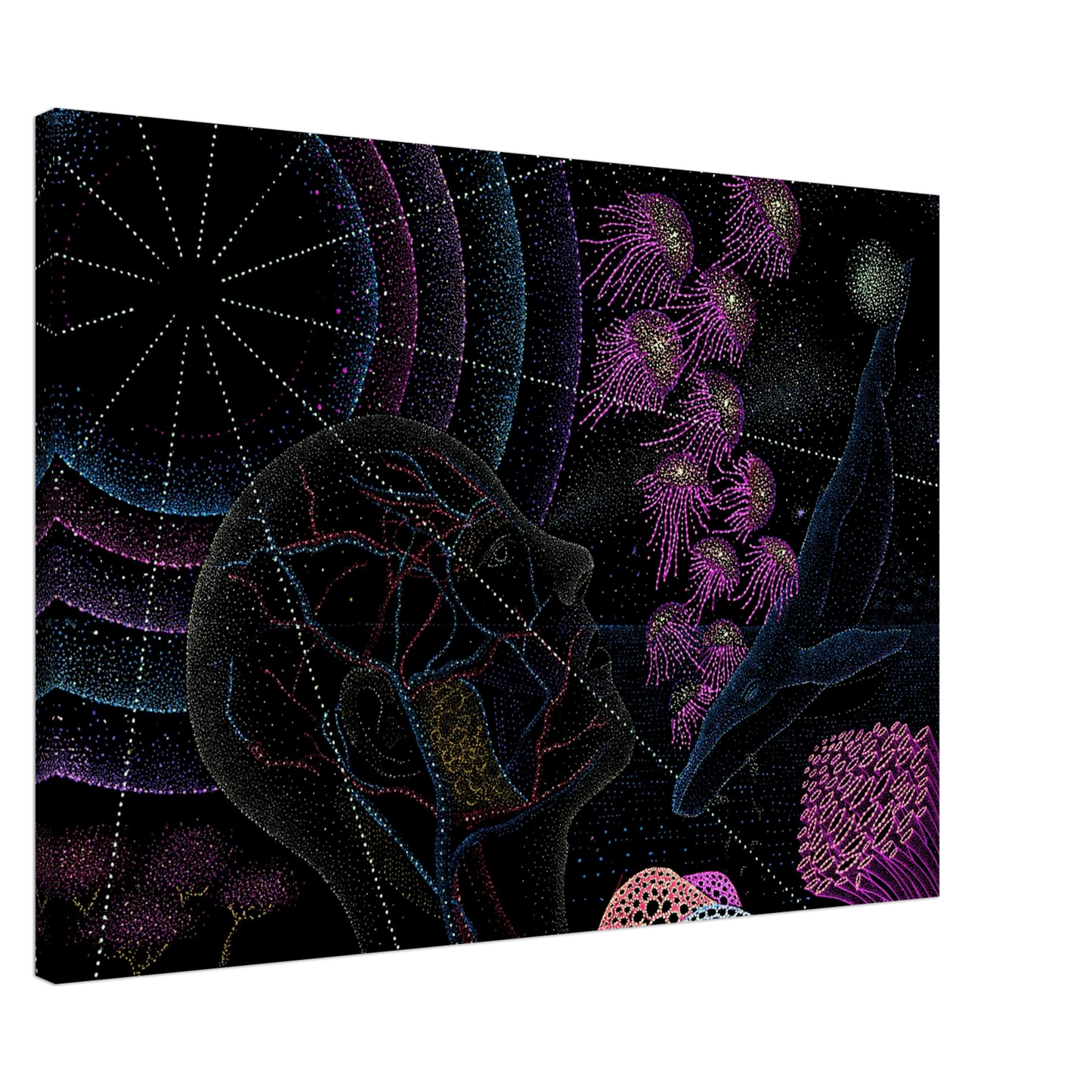 23bf2c1f-9a2b-4859-ba02-d7720d564655