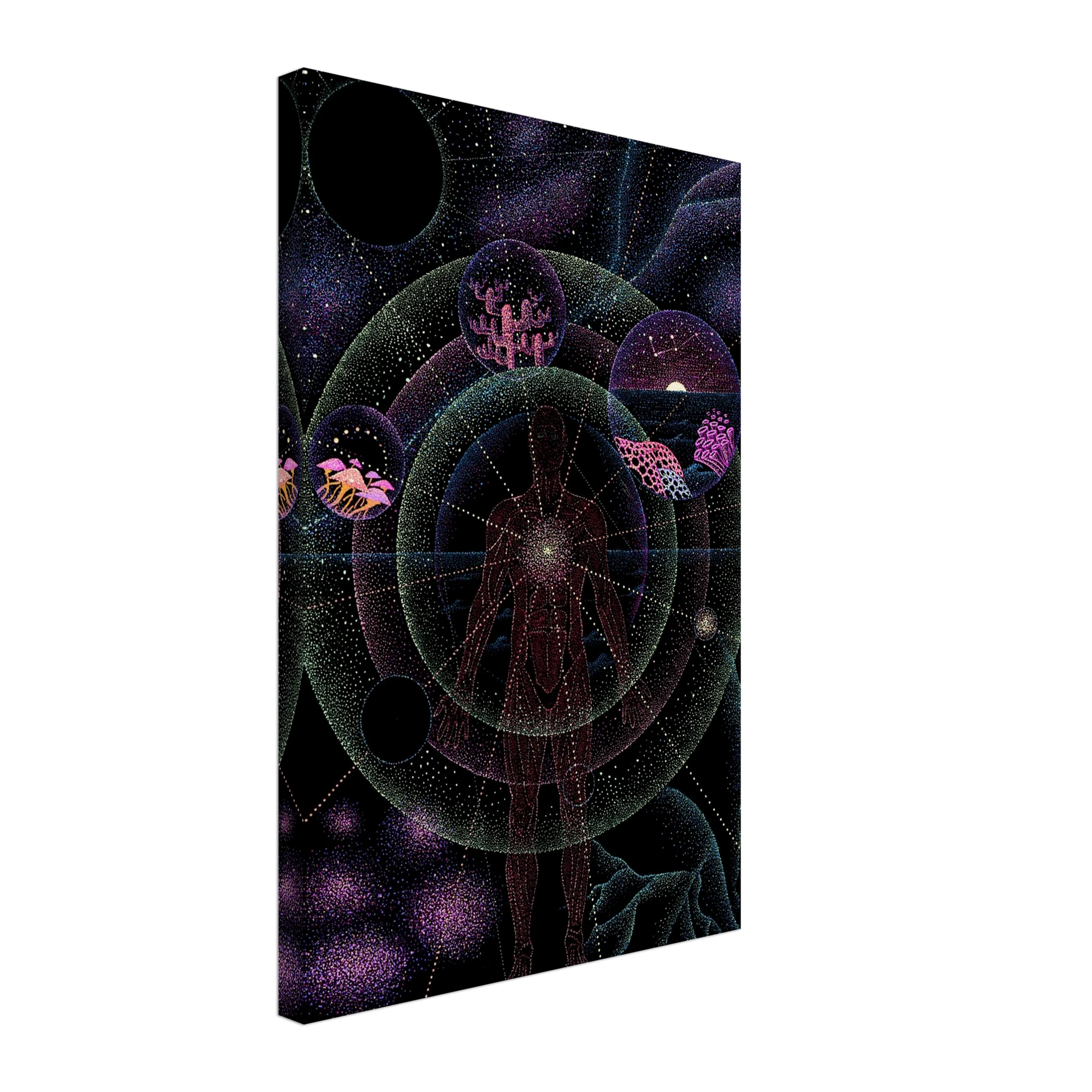 2a2e163d-4639-470b-8911-011f435352e1