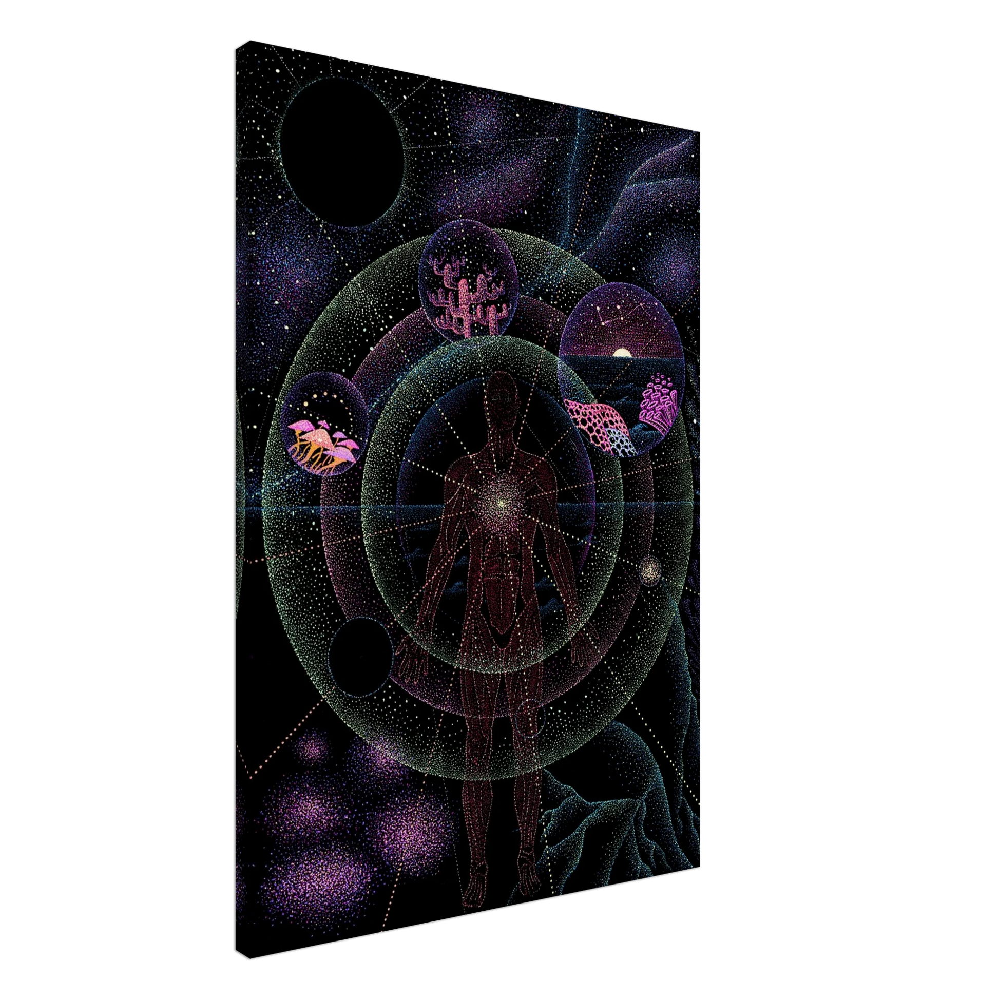 520e5e9b-2de5-4884-95c5-3aed4f984c1b