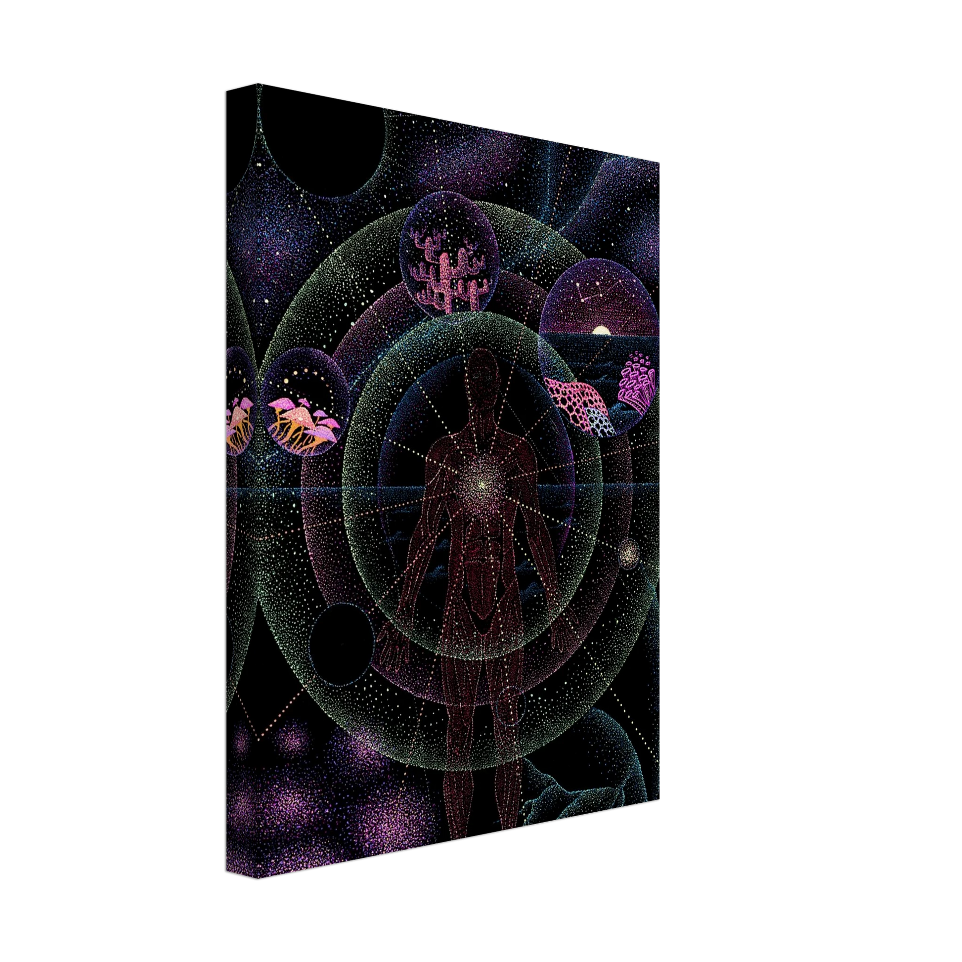 5c28fb09-c290-48da-8449-ed4695e67fe7