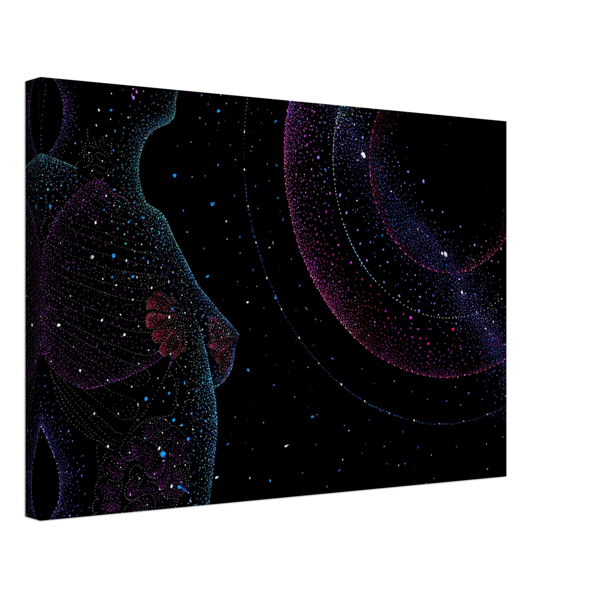 7a7876d4-425f-47ca-9e91-141deea0edec