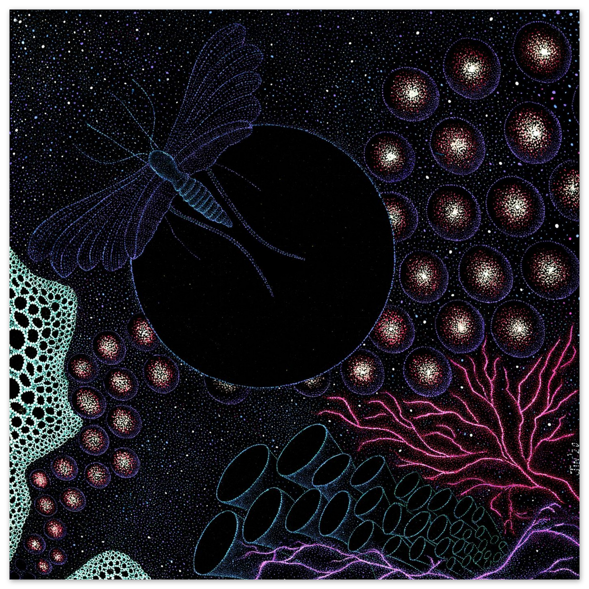 9688e8c2-36ee-458f-b5e6-270e9f20836b