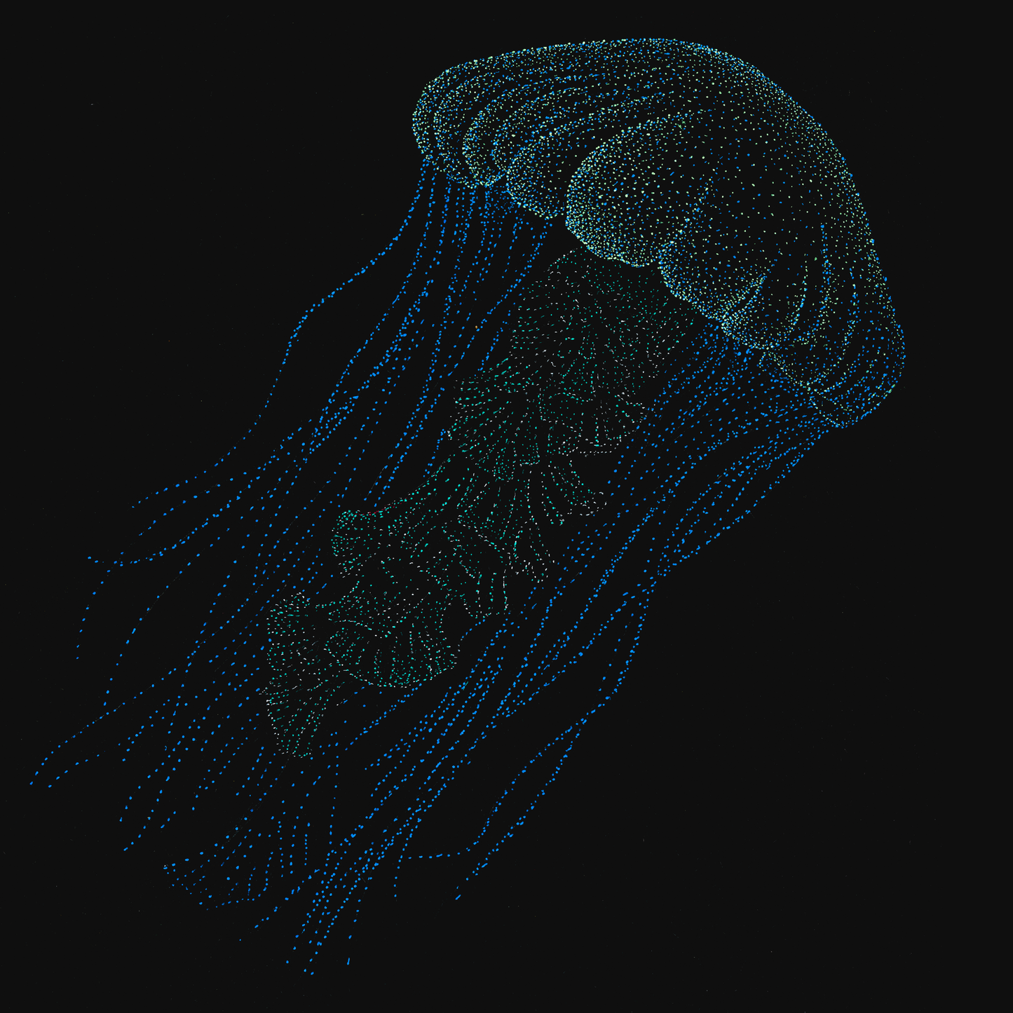 clothing-apparel-cotton-alishas-jellyfish