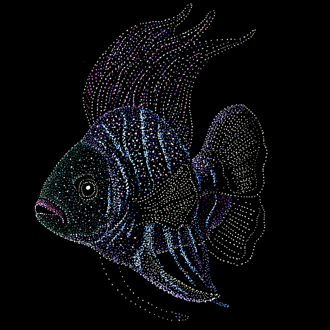 Am I a fish, Underwater, Jindots, 2025 tshirt