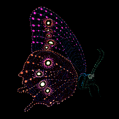 Aman the butterfly