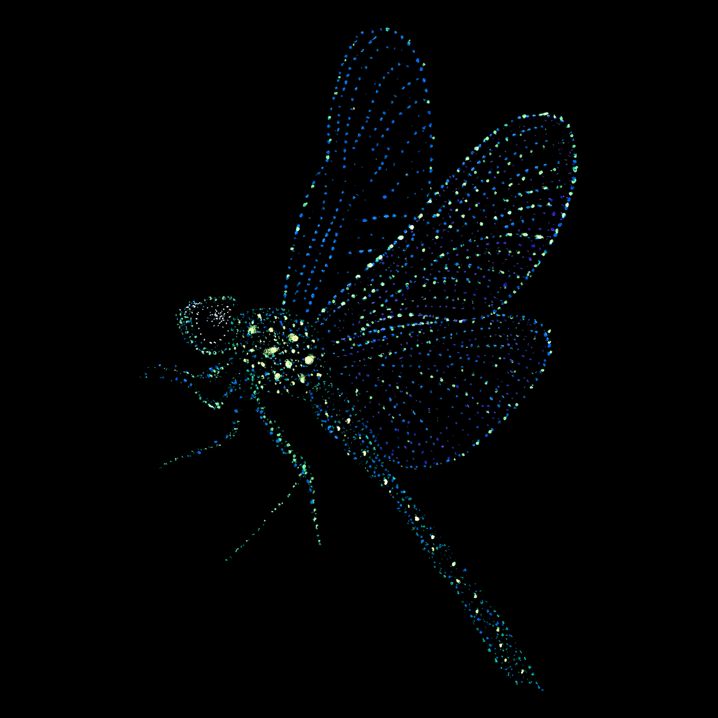Ameya the Dragonfly