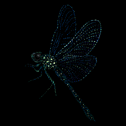 Ameya the Dragonfly