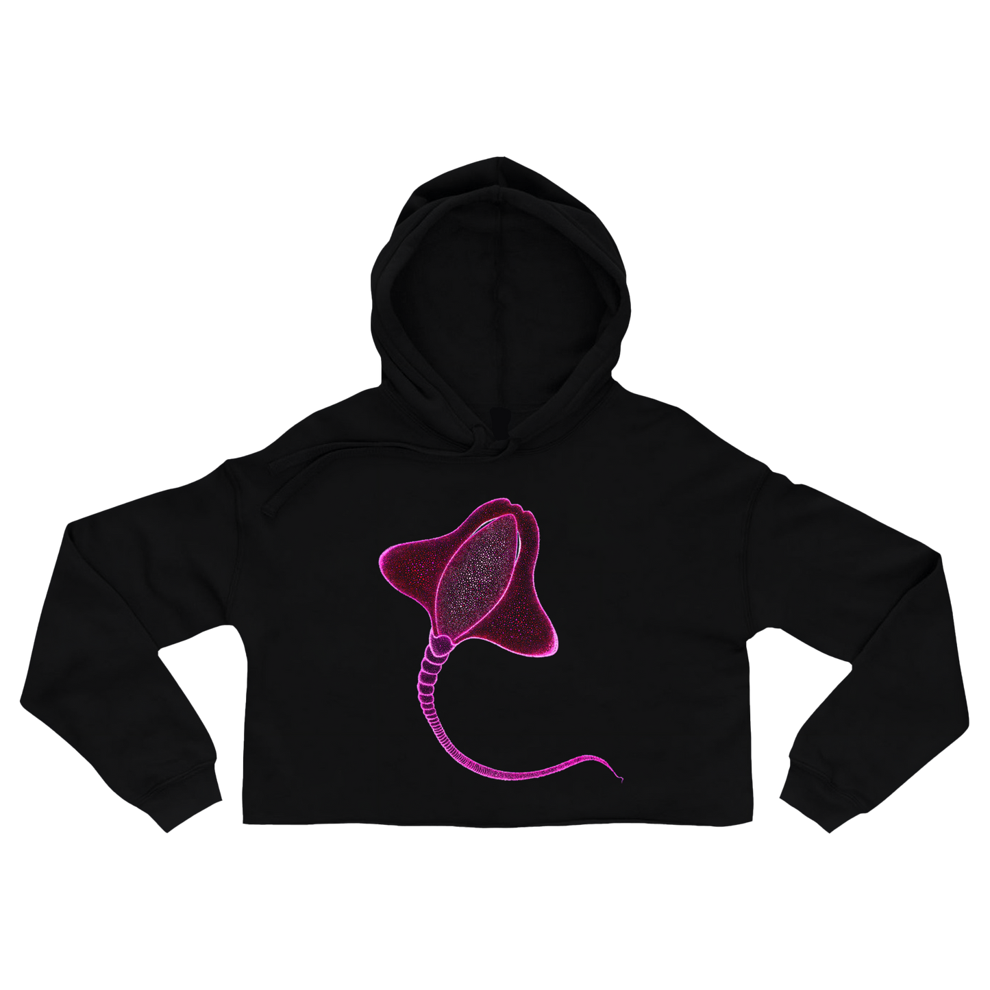 black-cropped-hoodie-for-women-wildlife-nature-happy-ray