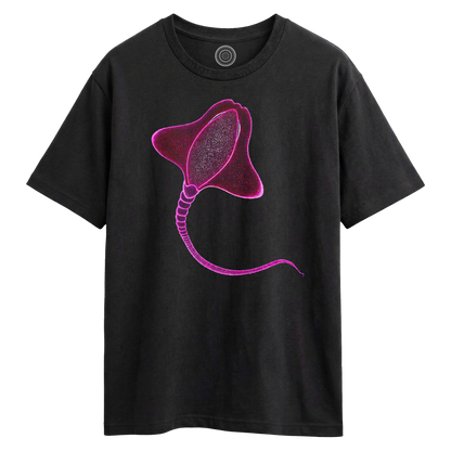 Wildlife-nature-oversized-t-shirt-tee-mens-womens-unisex-black-happy-ray