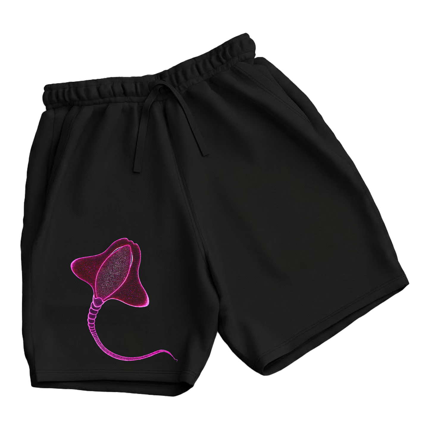 trekking-hiking-gym-shorts-for-men-Wildlife-nature-design-cotton-black-happy-ray