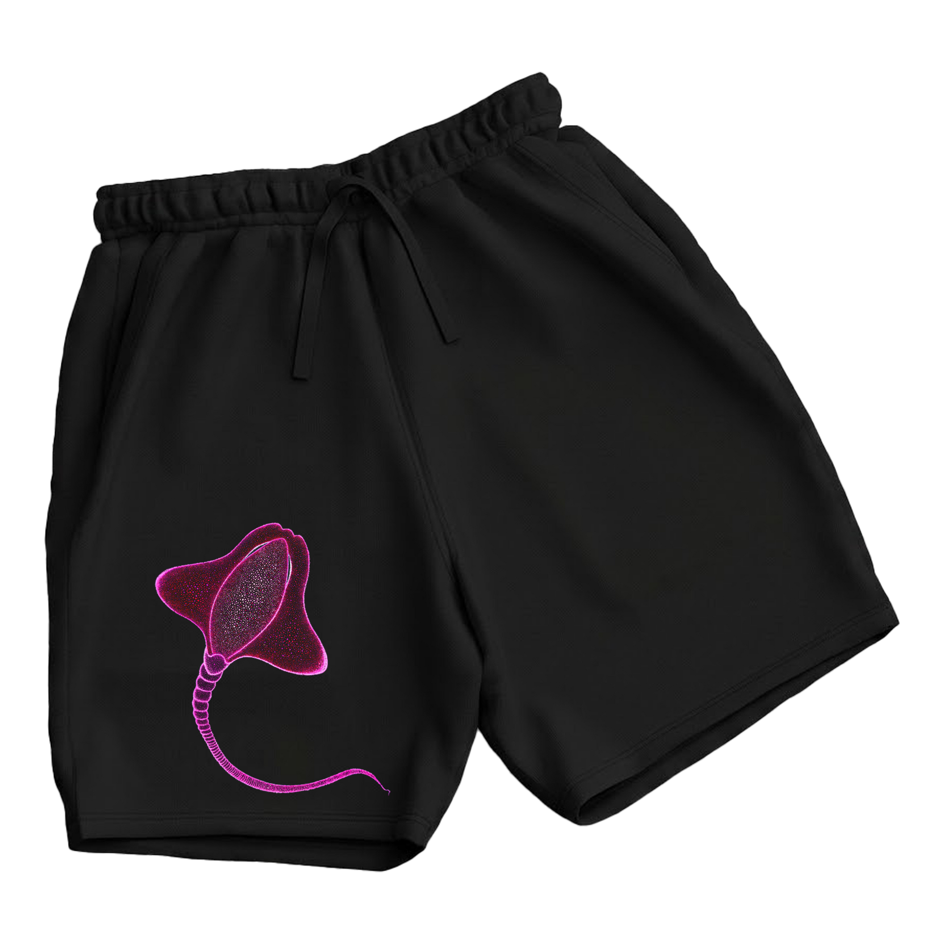 trekking-hiking-gym-shorts-for-men-Wildlife-nature-design-cotton-black-happy-ray
