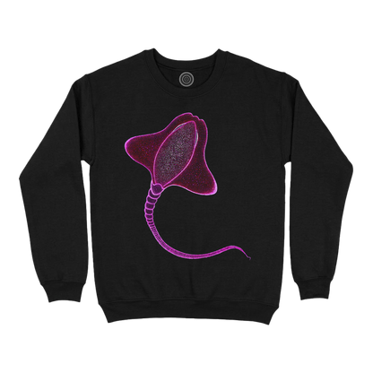Wildlife-nature-sweatshirt-men-black-happy-ray