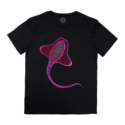 black-t-shirt-top-women-female-wildlife-nature-design-happy-ray