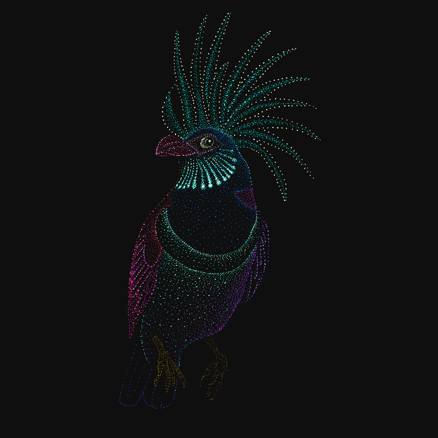clothing-apparel-cotton-aurora-bird