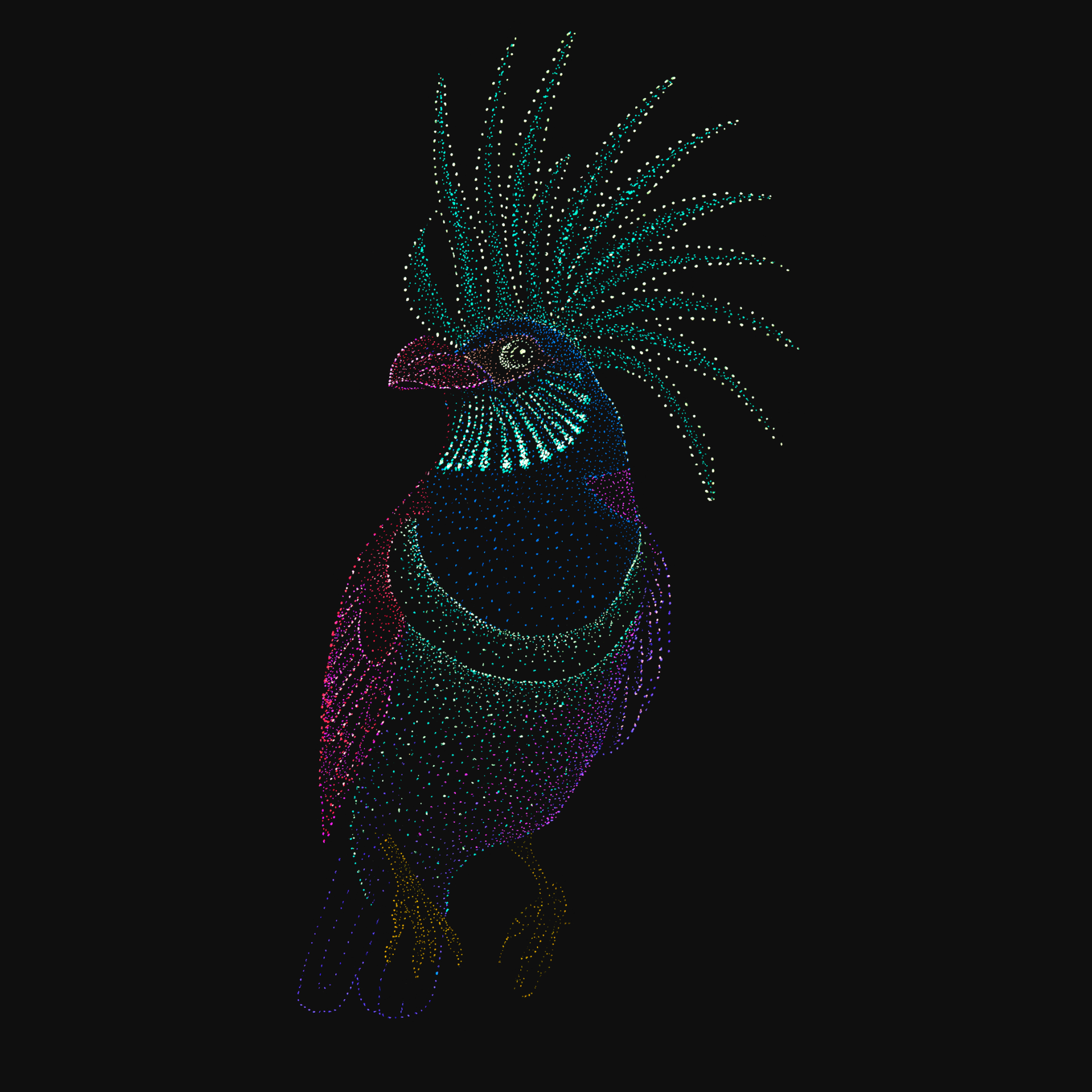 clothing-apparel-cotton-aurora-bird