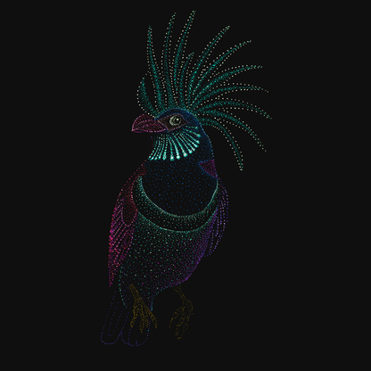 clothing-apparel-cotton-aurora-bird