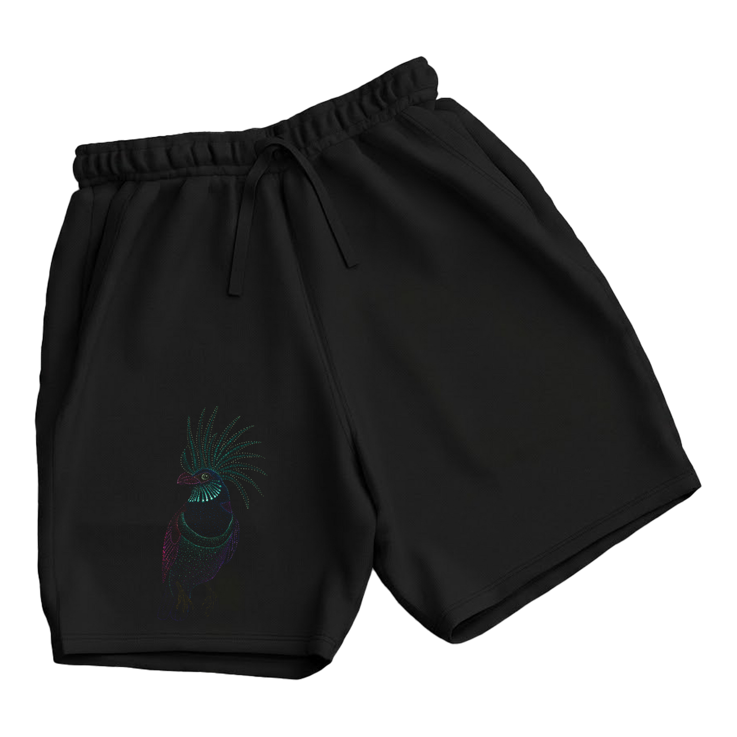 trekking-hiking-gym-shorts-for-men-Wildlife-nature-design-cotton-black-aurora-bird