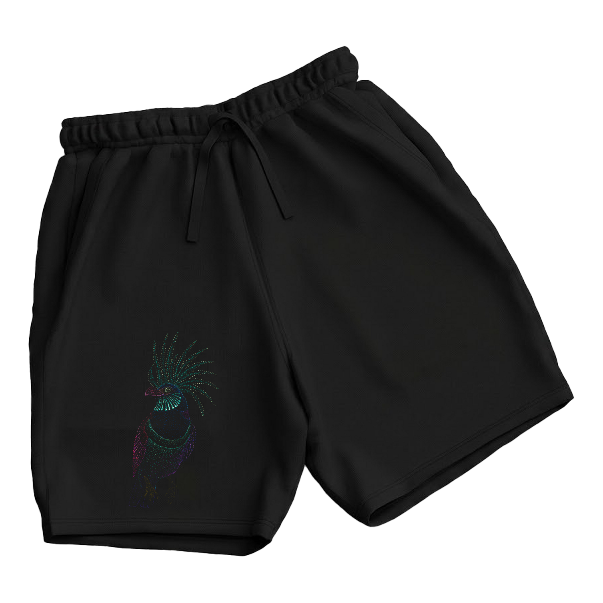 trekking-hiking-gym-shorts-for-men-Wildlife-nature-design-cotton-black-aurora-bird