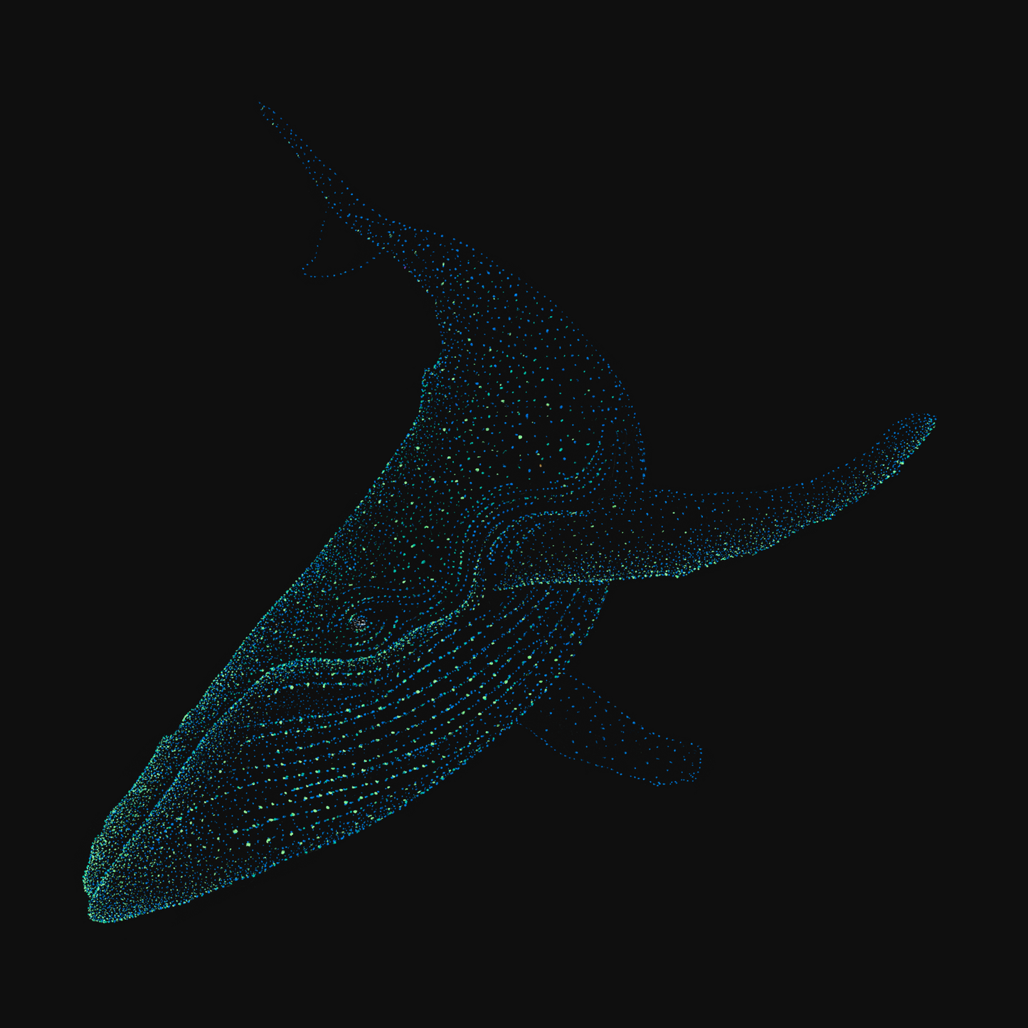 clothing-apparel-cotton-bavanji-whale