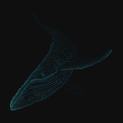 clothing-apparel-cotton-bavanji-whale