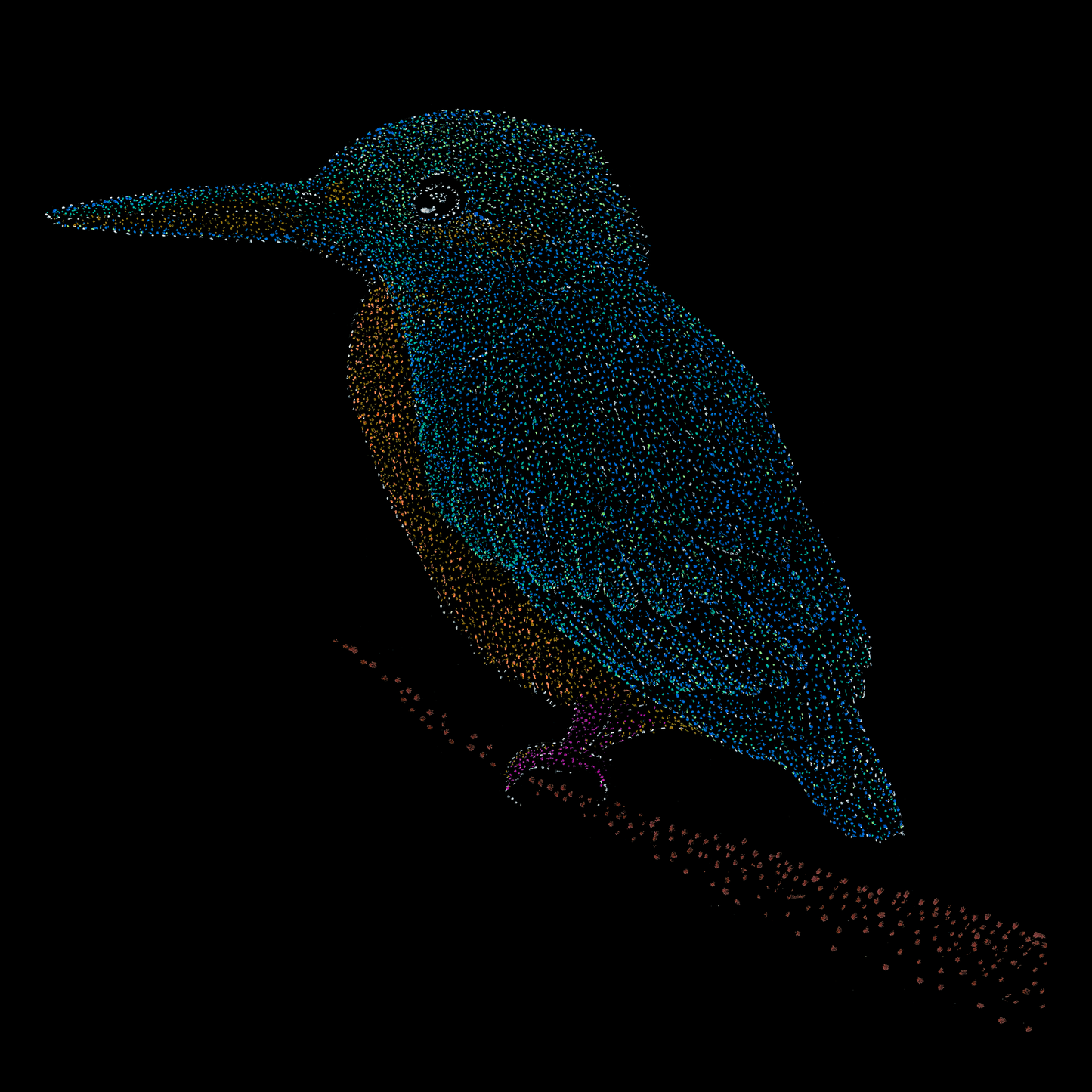 Denver the Kingfisher