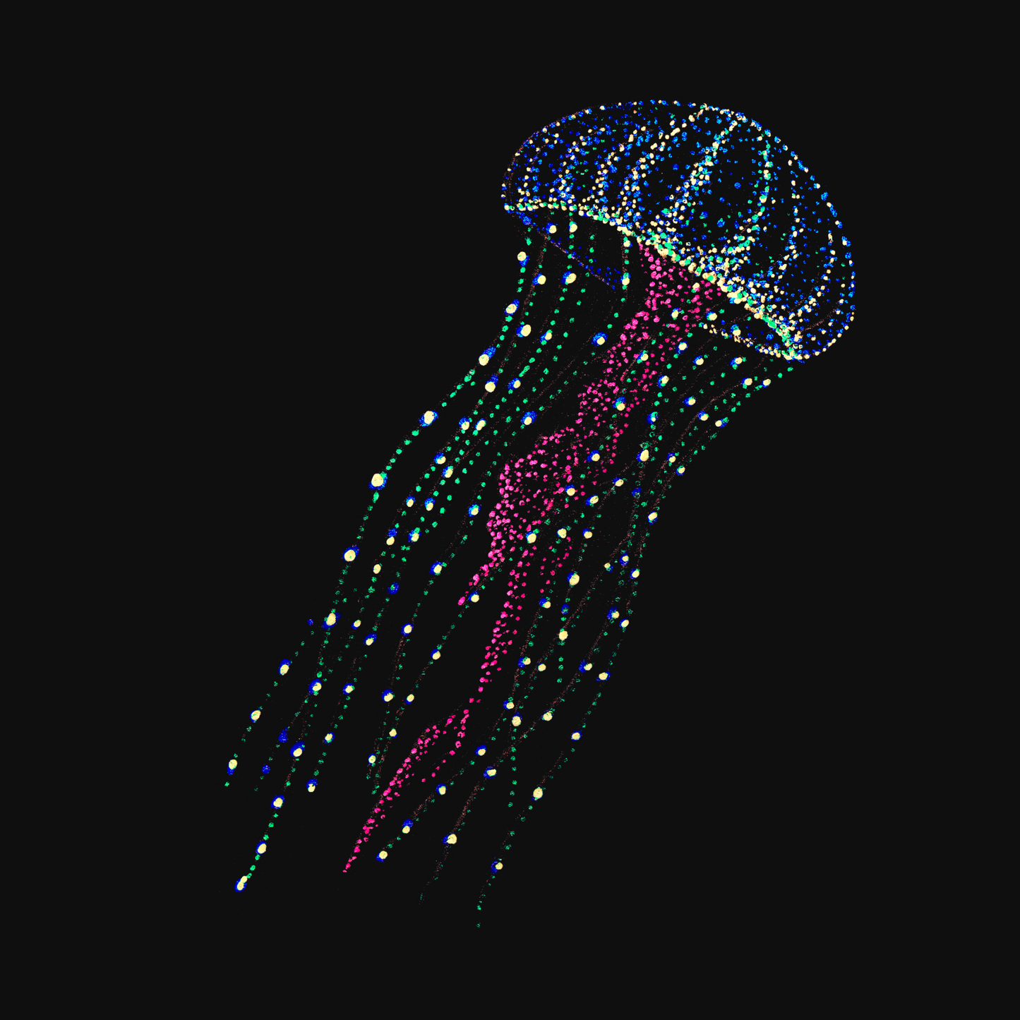 clothing-apparel-cotton-hanna-jellyfish