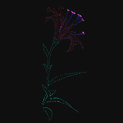clothing-apparel-cotton-lisa-flower