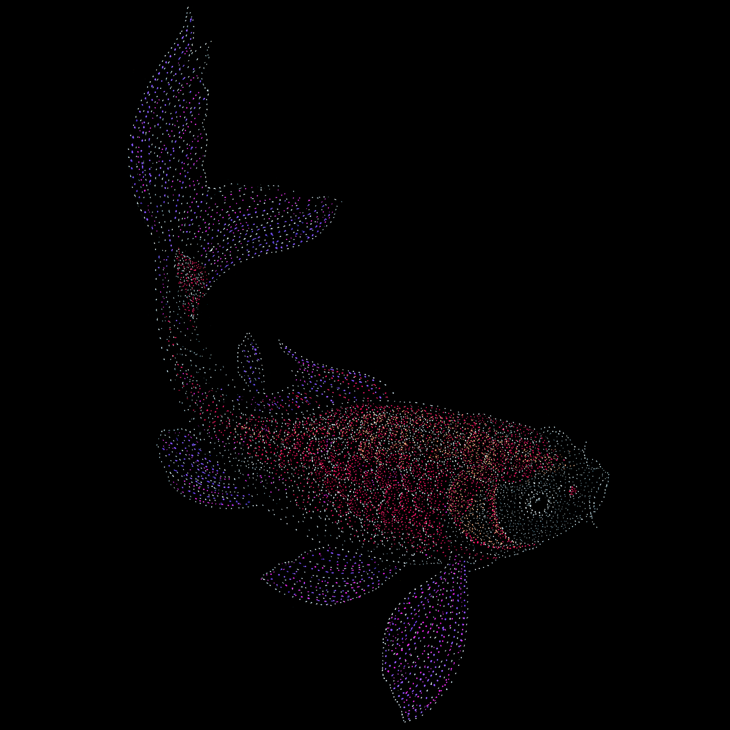 Magical Koi