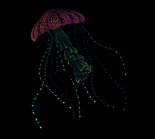 Colorful jellyfish tshirt on a black background