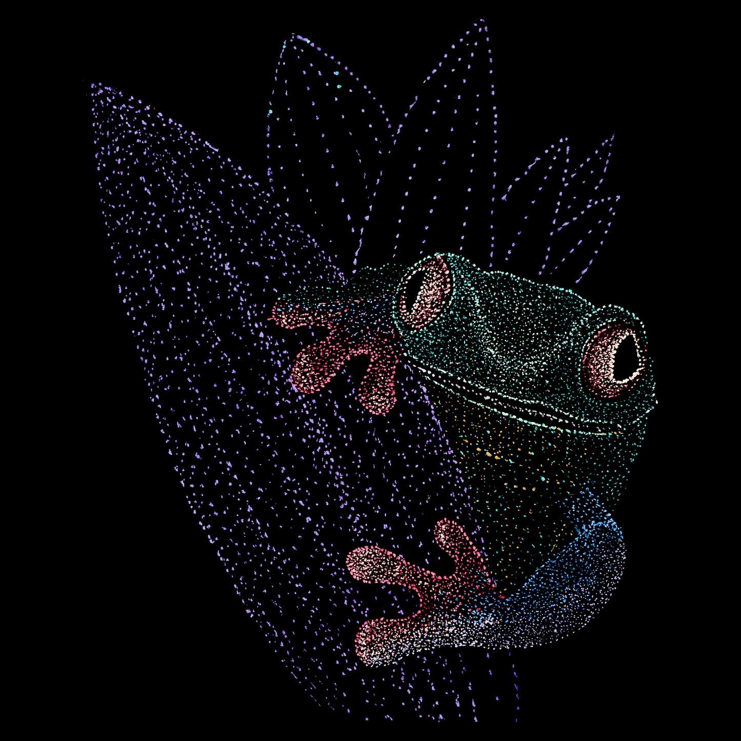 Nirav the Wise Frog