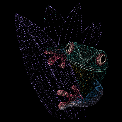 Nirav the Wise Frog