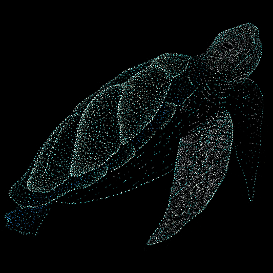 Panto the Turtle, Underwater, Jindots, 2025 tshirt