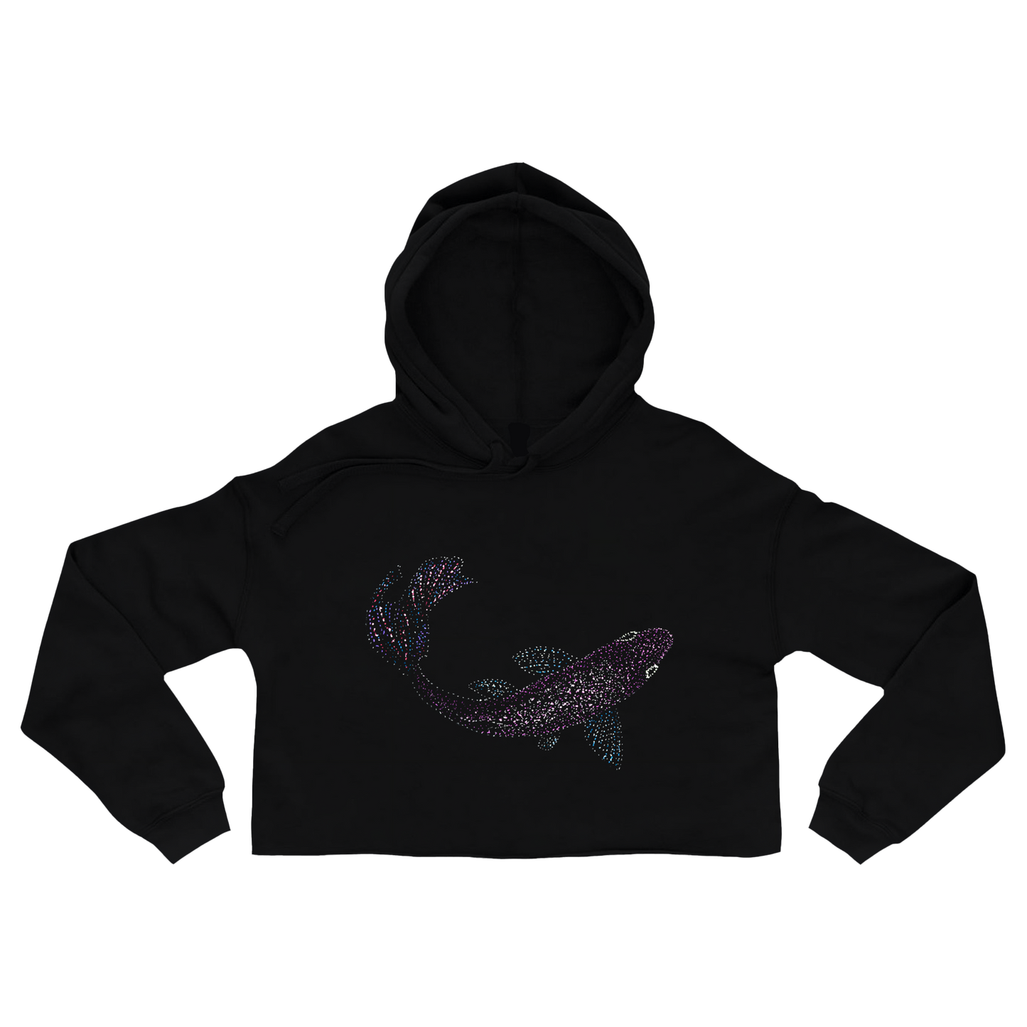 Poly the Fish