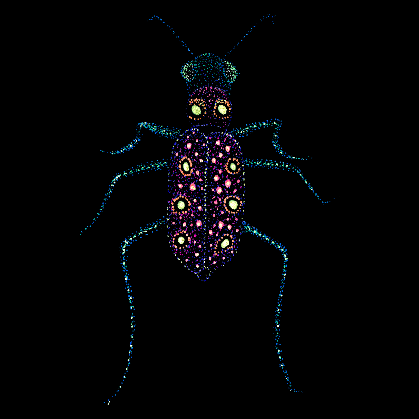 Rein the trippy bug