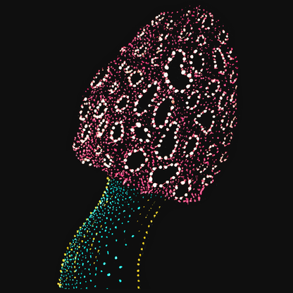 clothing-apparel-cotton-satish-mushroom