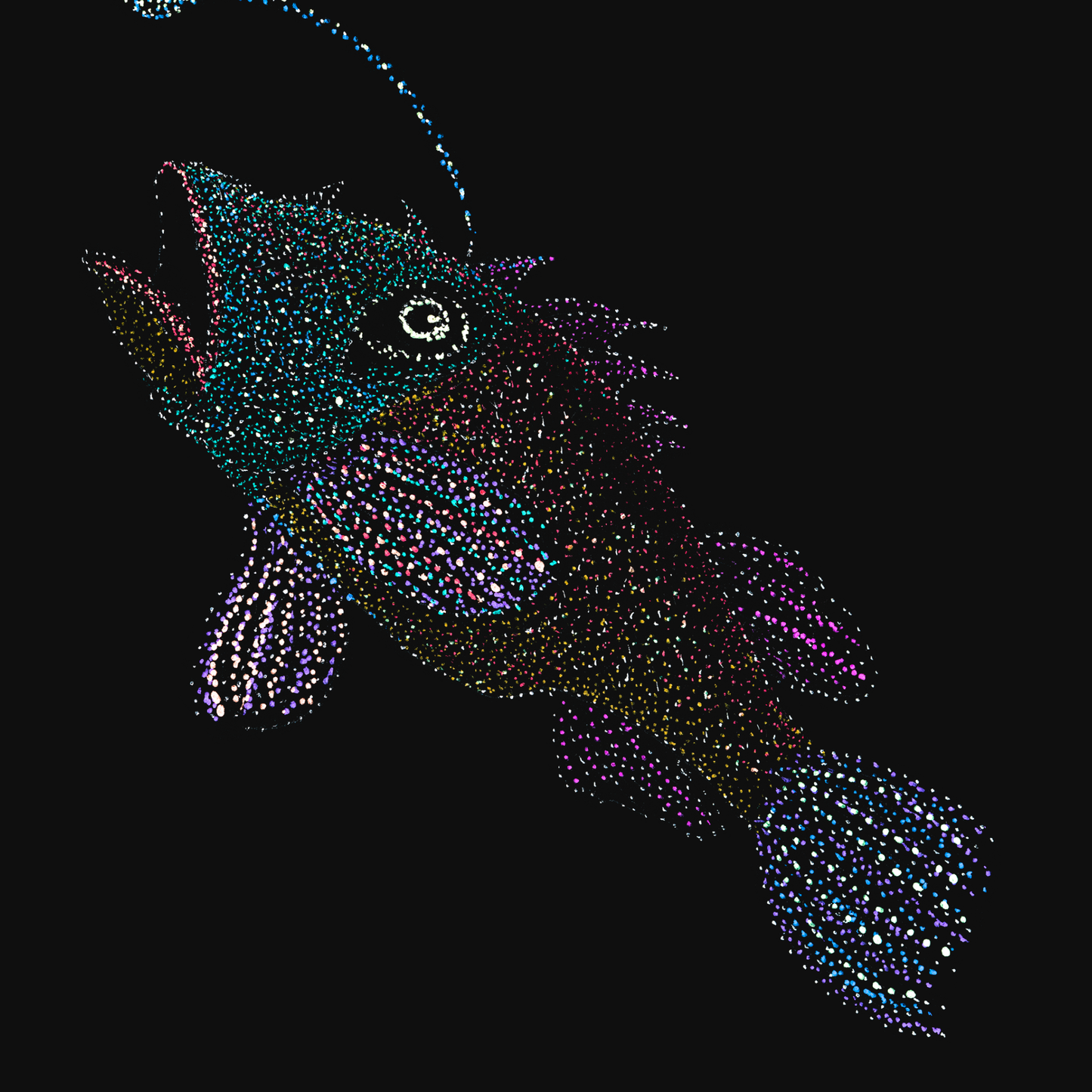 clothing-apparel-cotton-shahbaz-angler