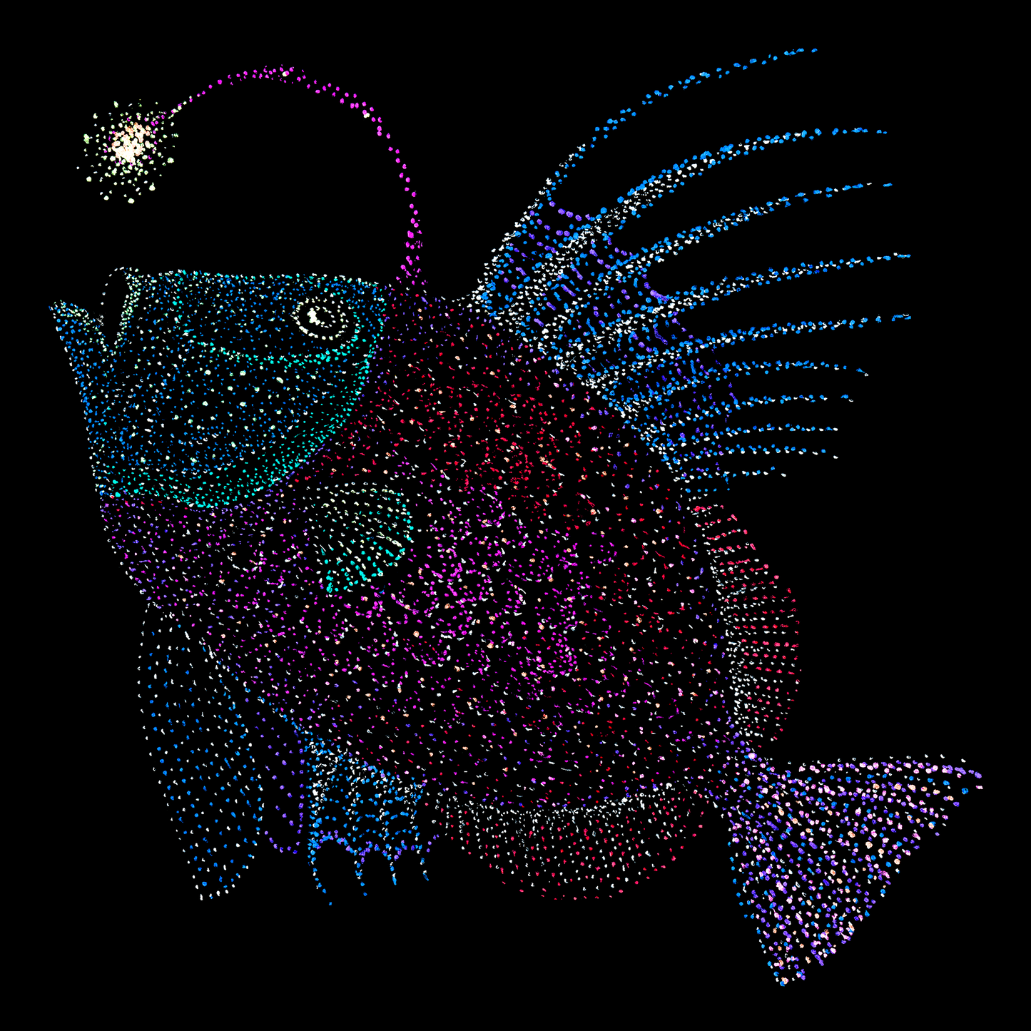 Tamara the Angler Fish