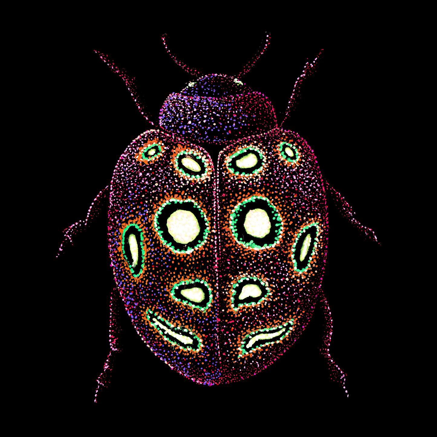 The Joyful Ladybug