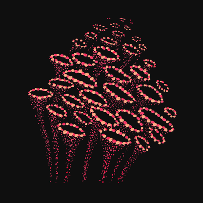 Kirtika's Corals