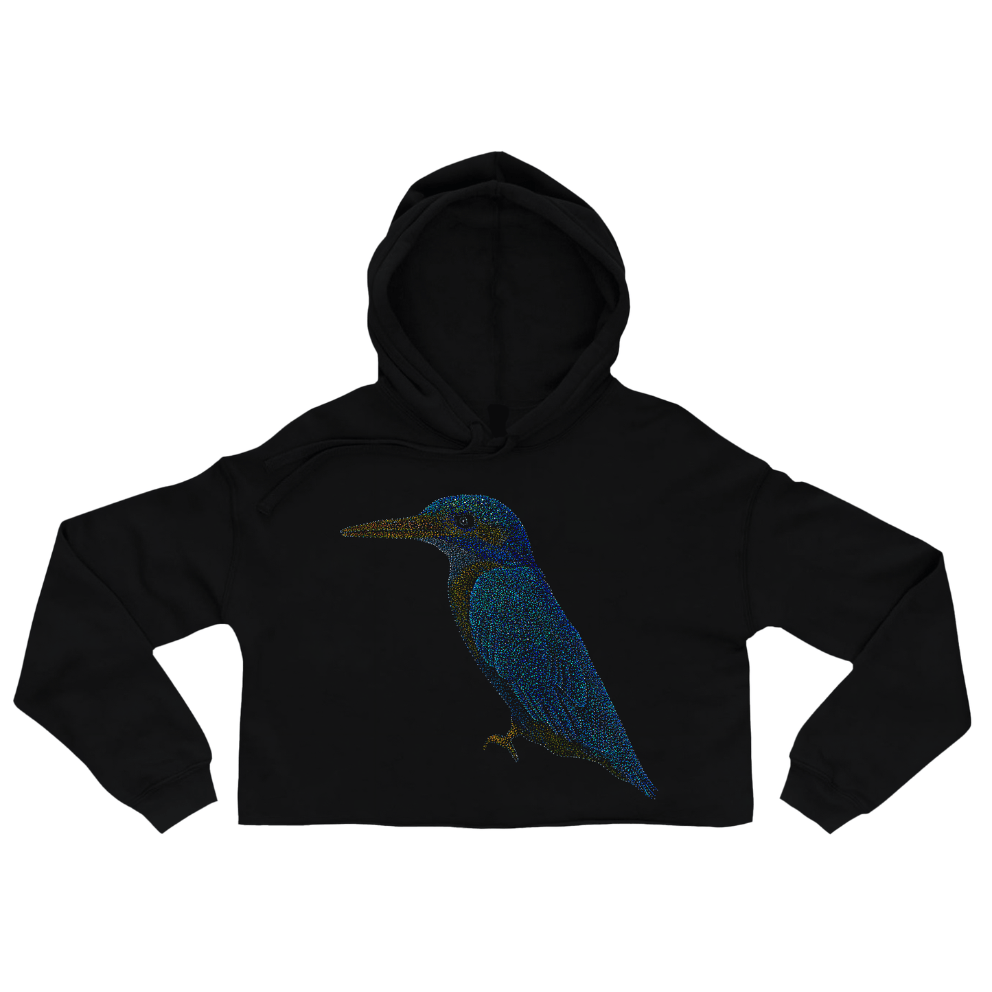 Amrit the Kingfisher