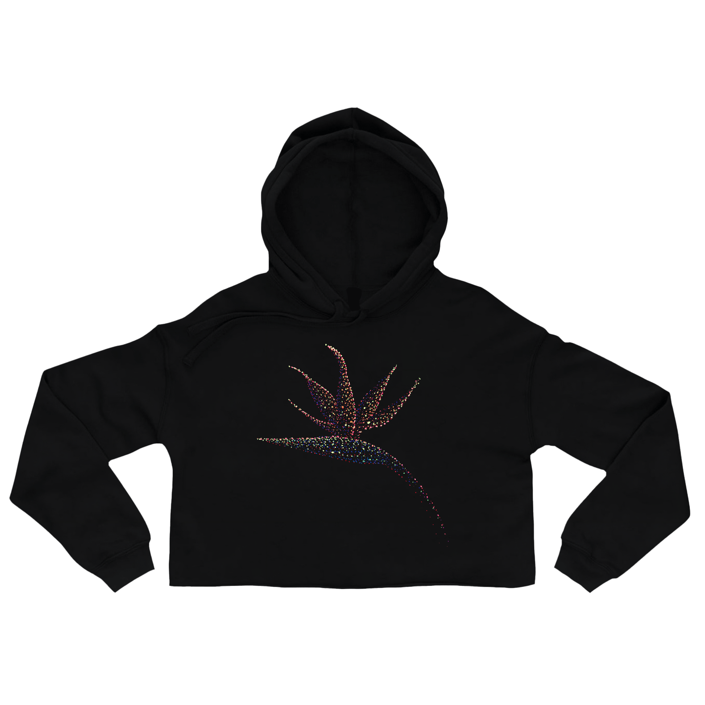 Karin's Bird of Paradise flower