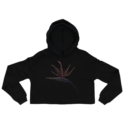 Karin's Bird of Paradise flower