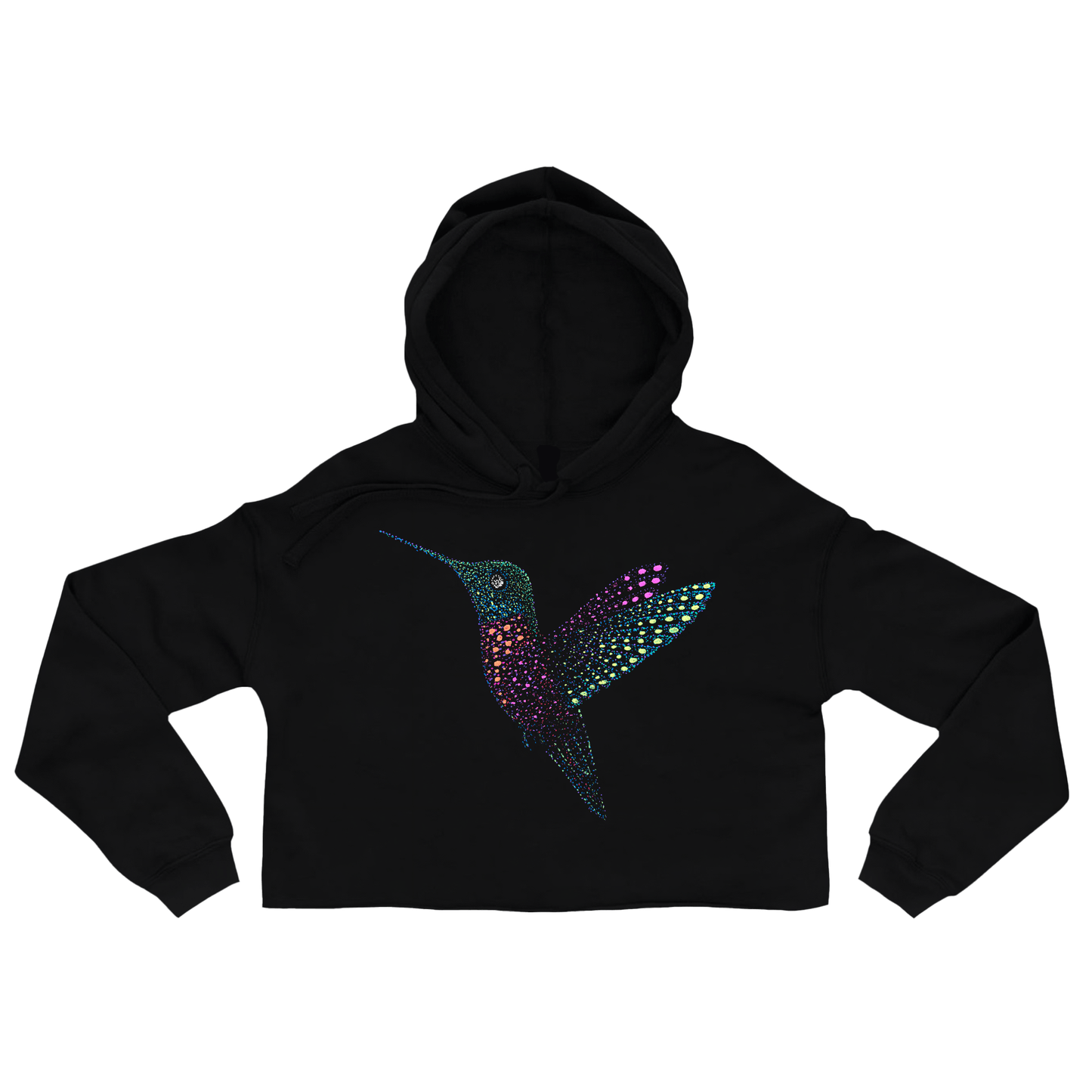 Dinesh the Hummingbird
