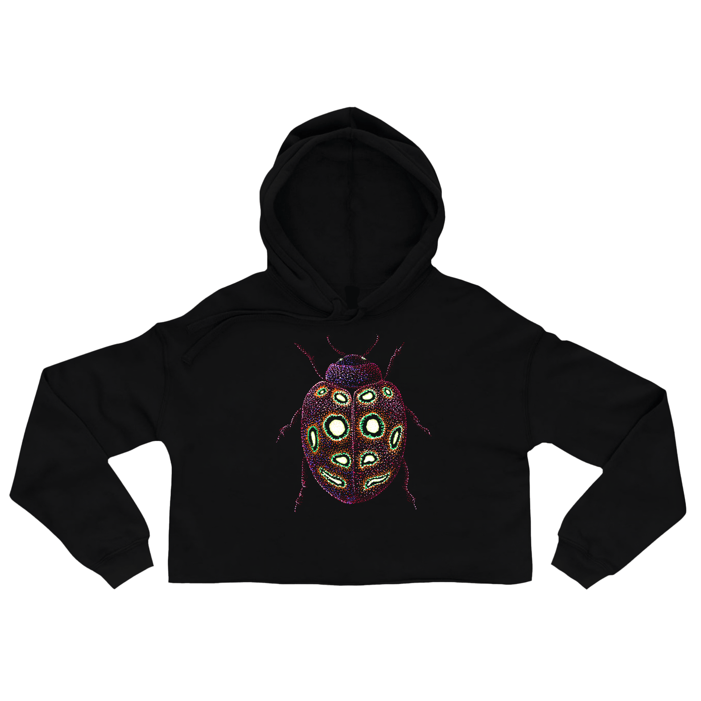 The Joyful Ladybug