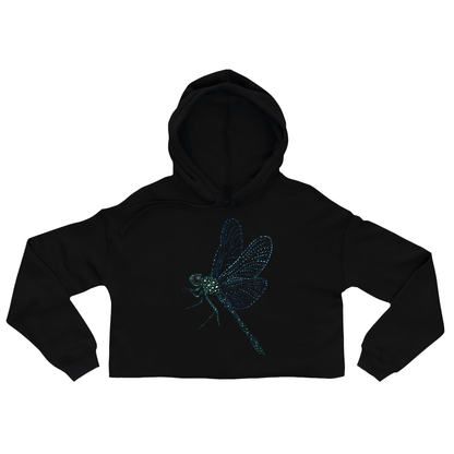 Ameya the Dragonfly
