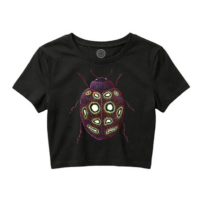 The Joyful Ladybug